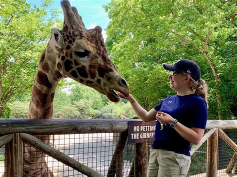 what education is needed to be a zoologist and how does it impact our understanding of the natural world